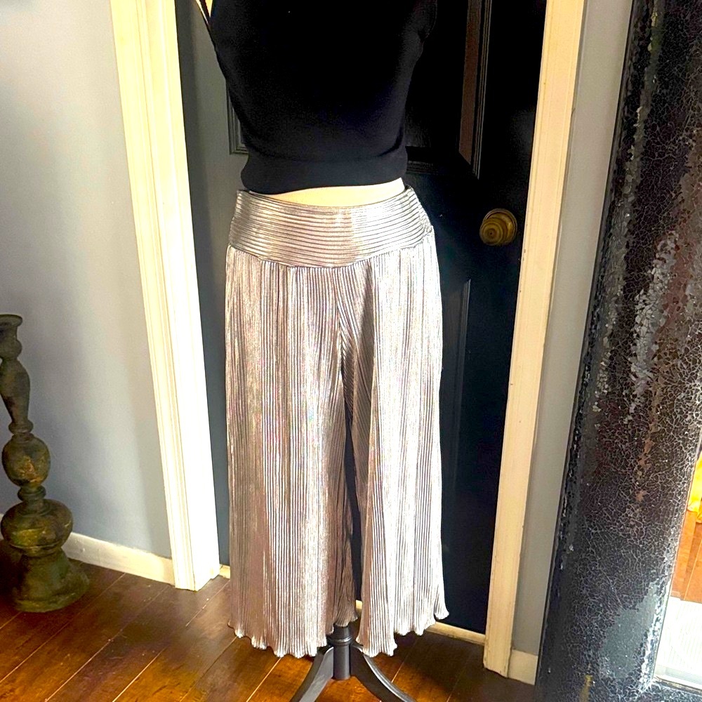 Silver Pleated Women's gauchos